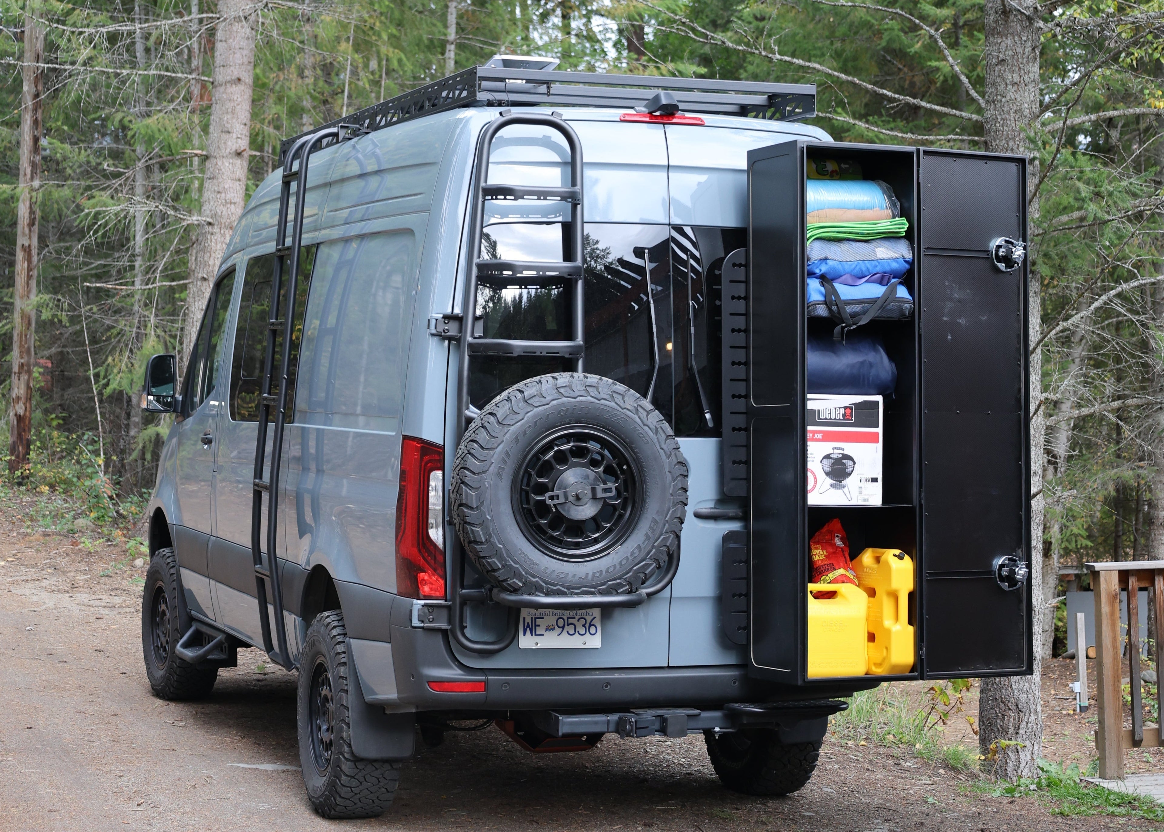 Sprinter two-in-one tire ladder carrier