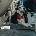 Front Cab Floor Mats